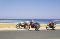 Kradblatt – Staging